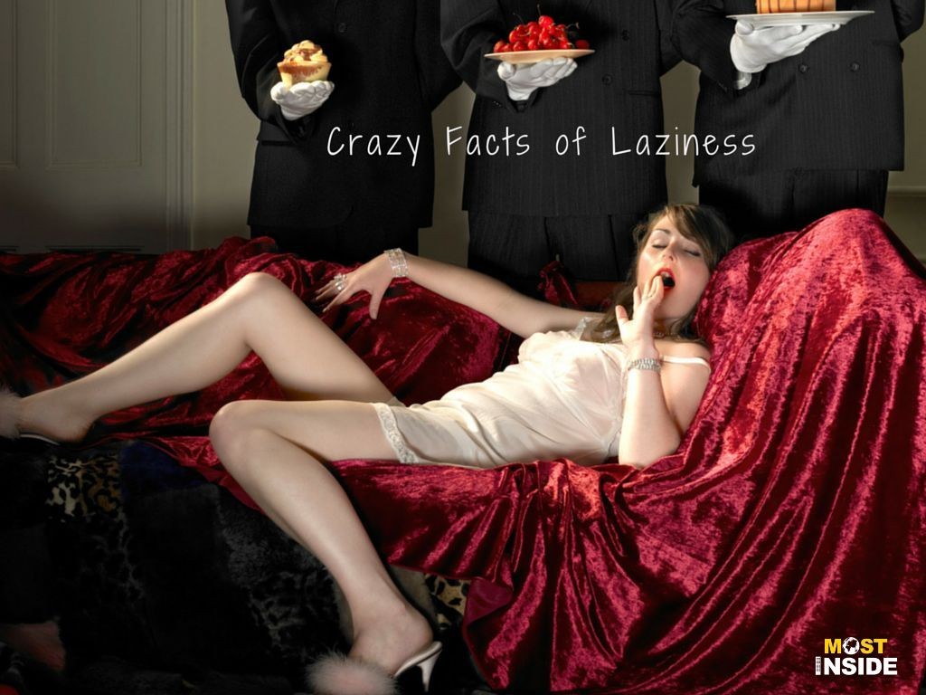 Crazy Facts of Laziness