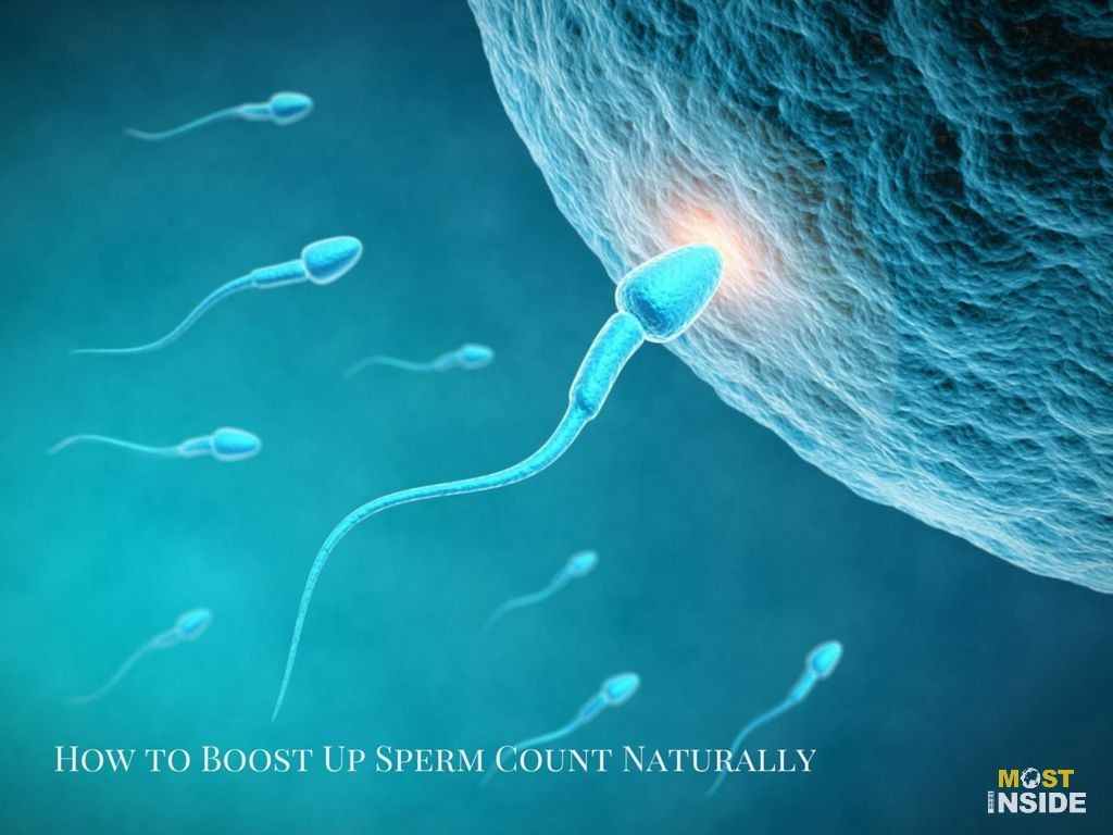 Boost Up Sperm Count Naturally
