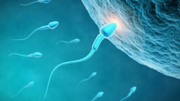 How to Boost Up Sperm Count Naturally