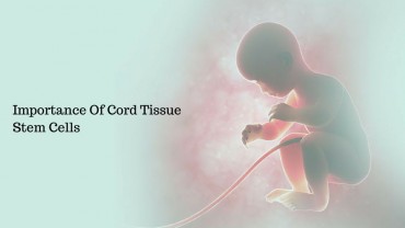 Importance Of Cord Tissue Stem Cells