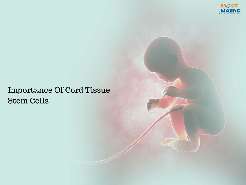 Importance Of Cord Tissue Stem Cells