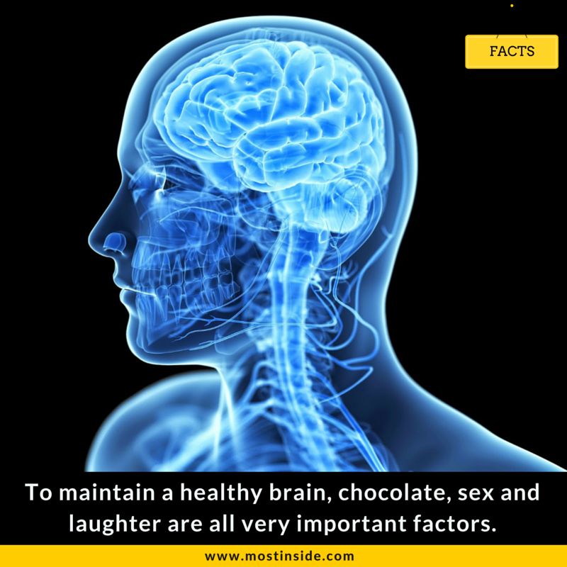 To maintain a healthy brain, chocolate, sex and laughter are all very important factors