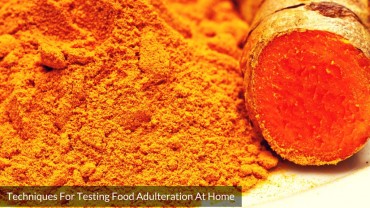 Techniques For Testing Food Adulteration At Home