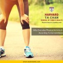 Why Everyday Physical Activity Is Important According To Harvard Research?