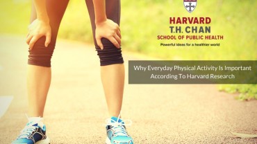 Why Everyday Physical Activity Is Important According To Harvard Research?