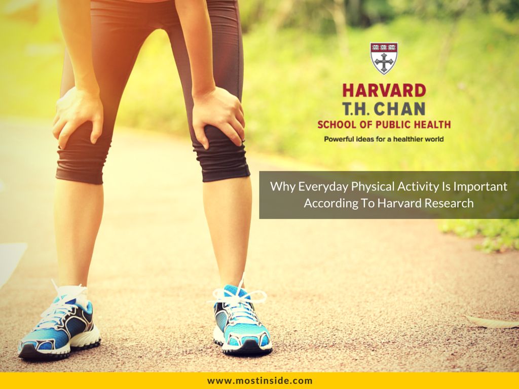 Physical Activity Harvard 