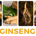 Why Should We Consume Ginseng?