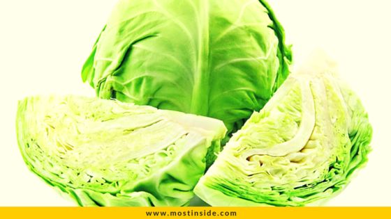 Cabbage