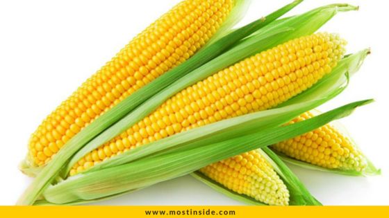 Sweet Corn