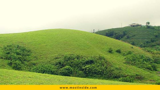 Vagamon