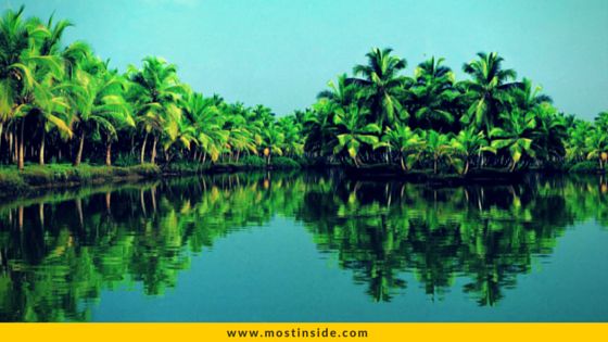 Poovar