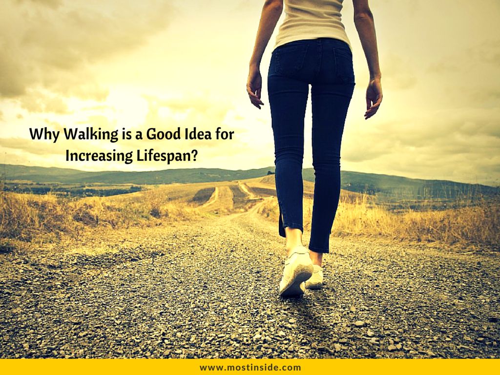 Walking is a Good Idea for Increasing Lifespan