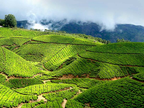 Munnar Hills Beautiful Place in India