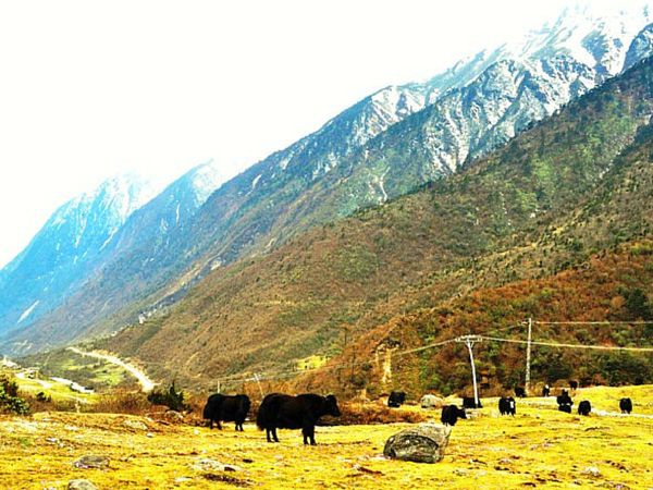 Yumthang Valley Beautiful Place in India