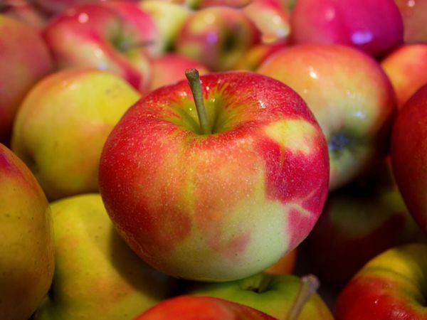 Apples Keeps Mood Swings At Bay