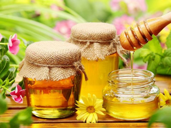 Honey Natural Antibiotic
