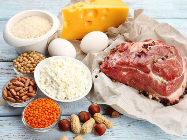 Excess protein Damage Liver