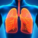 7 Ways To Keep Your Lungs Healthy