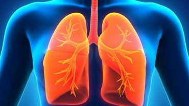 7 Ways To Keep Your Lungs Healthy