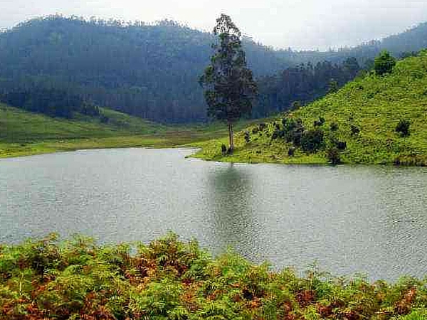 Kodaikanal to Visit in Monsoon