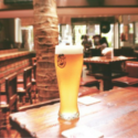 Where to Chug in the Best Beer in Bangalore?