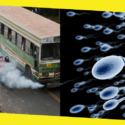 Air Pollution Can Affect Sperm Negatively- Says The Research