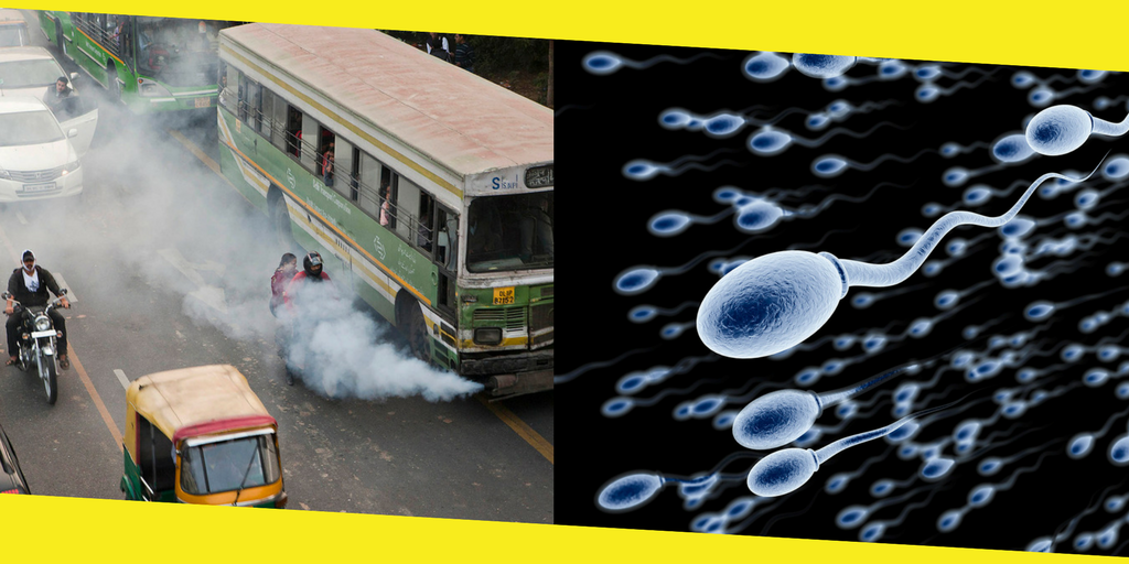 Air Pollution Affect Sperm