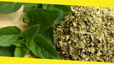 Here’s Why Oregano Should Be An Indispensable Part Of Your Diet