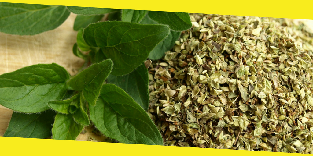 oregano health benefits