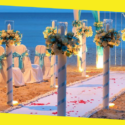 How to Pick a Wedding Planner Who Can Make Your Dream Wedding a Reality