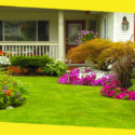 Benefits of Hiring Professional Landscapers
