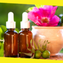 A Good Look at Rosehip Oil and How it Naturally Benefits the Skin