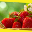 The Healthy Benefits of Strawberries