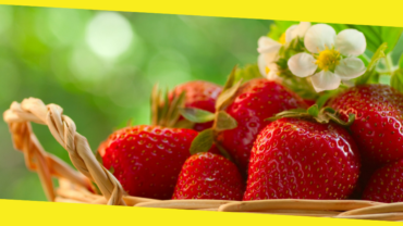 The Healthy Benefits of Strawberries