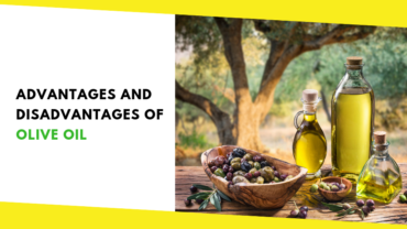Advantages and Disadvantages of Olive Oil