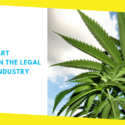How to Start Investing in the Legal Cannabis Industry