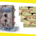 Best Trail Camera “The Best Gadget For The Wildlife Photography”