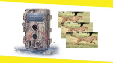 Best Trail Camera “The Best Gadget For The Wildlife Photography”