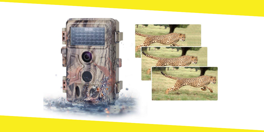 Best Trail Camera For Wildlife Photography