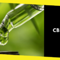 How Long Does it Take for the Best Cannabis CBD Oil to Take Effect?