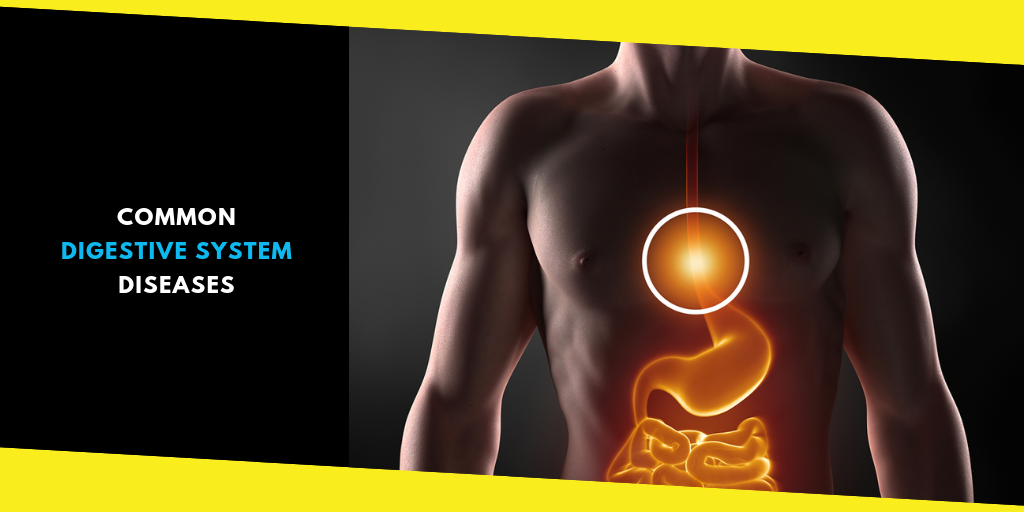 Diseases Of Digestive System Scientific Publishing - Gambaran