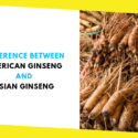 Difference Between American Ginseng and Asian Ginseng