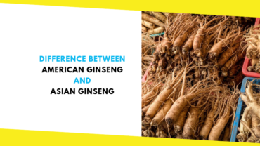 Difference Between American Ginseng and Asian Ginseng