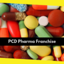 Find the Top PCD Pharma Franchise Suppliers for Antibiotics in India