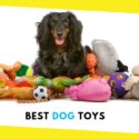 Top 5 Best Dog Toys