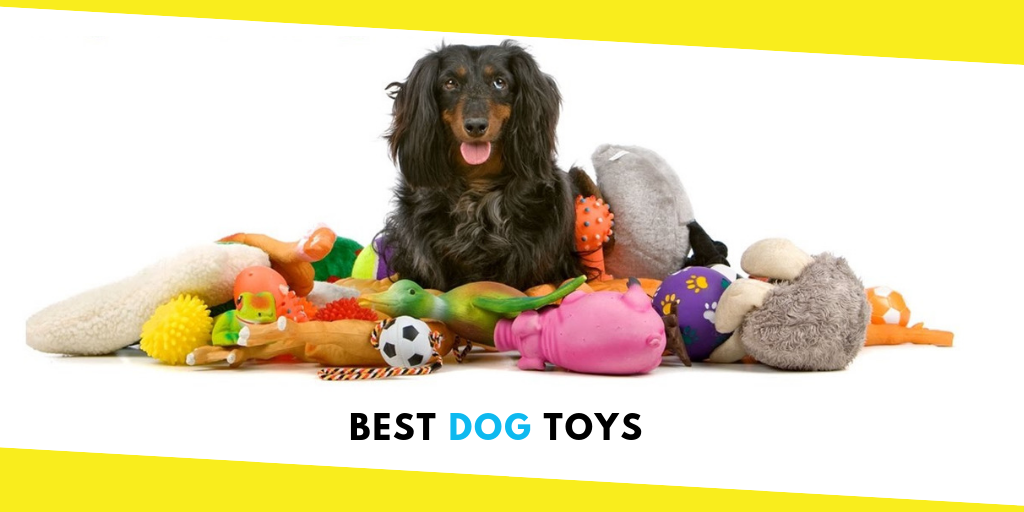 Top Dog Toys