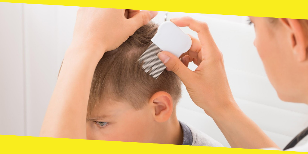 Lice Treatment and Diagnosis