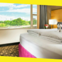 4 Tips for Staying at the Hotel With a Dog