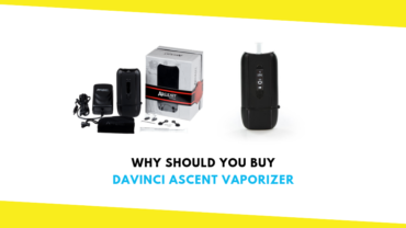 Why Should You Buy Davinci Ascent Vaporizer