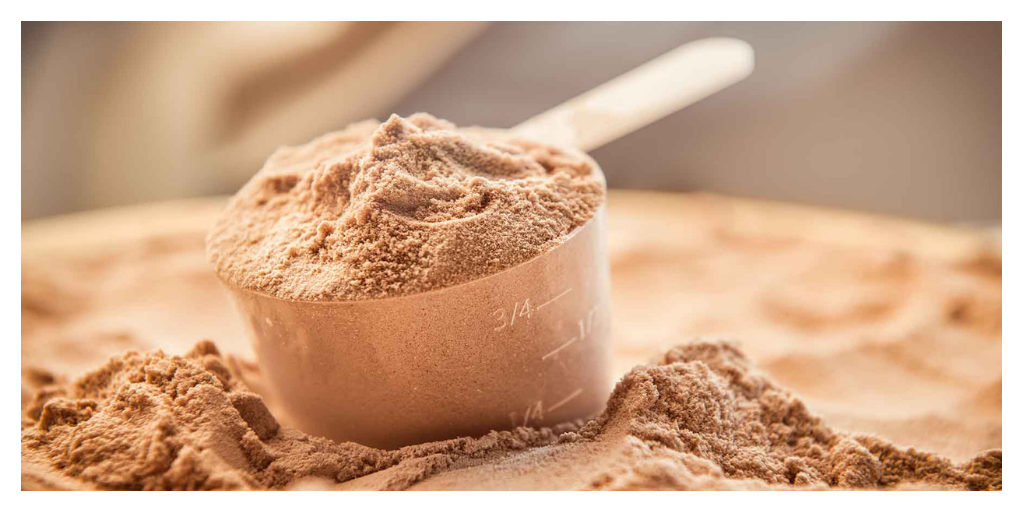 Best Protein Powders for Weight Loss